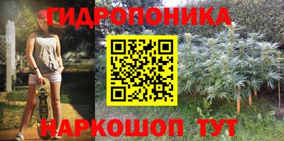 хмурый Будённовск