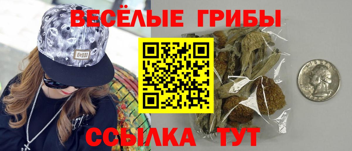 Галлюциногенные грибы мухоморы Люберцы